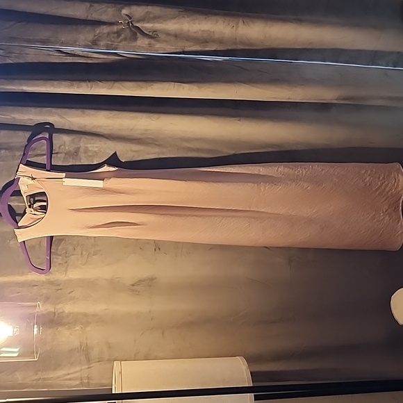 House of Harlow 1969 long sleeveless slip dress, pale dusty pink, Size S. NWT - Picture 1 of 7